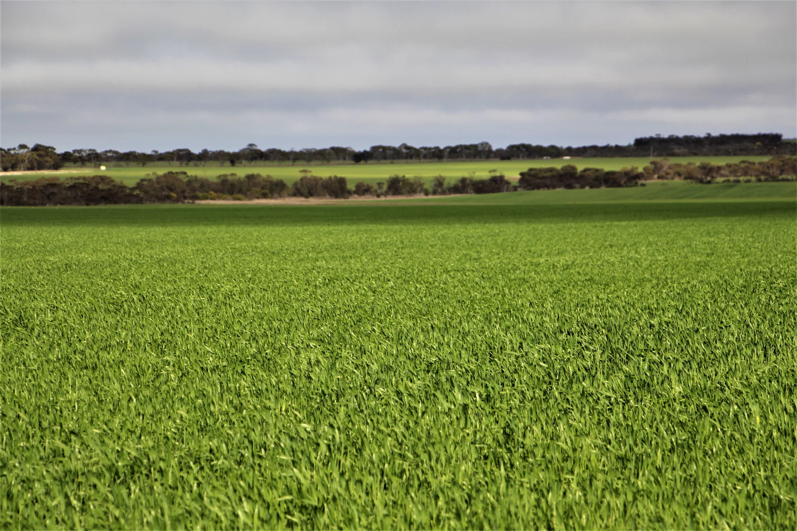 Additional image 31 of 31541 South Coast Highway, Jerramungup WA 6337