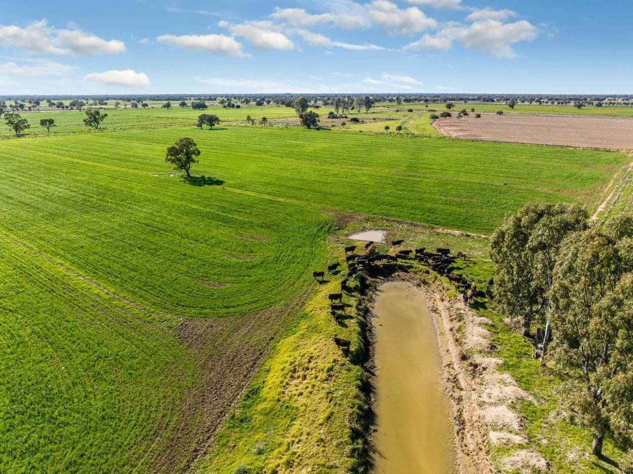 Additional image 13 of 495 Burraboi Road, Barham NSW 2732