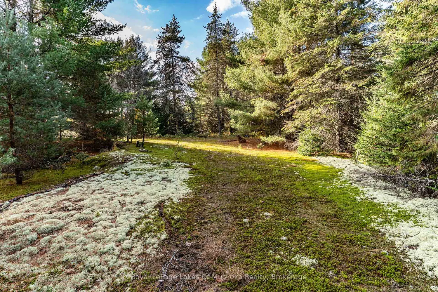 Additional image 13 of 267 & 321 Cardwell Lake Road