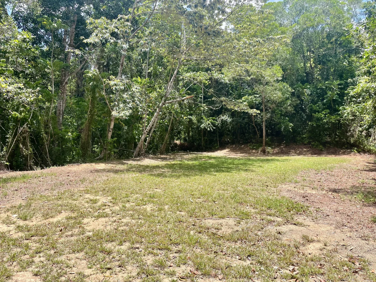 Additional image 12 of 2869 Mossman Daintree Road, Lower Daintree, Daintree QLD 4873