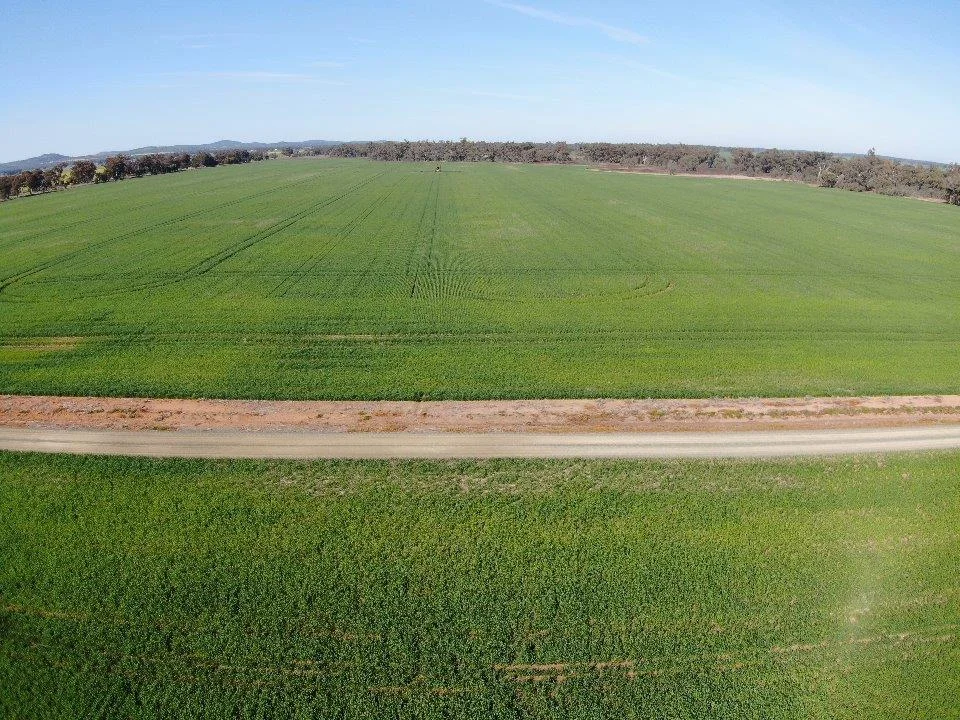 Additional image 3 of 'Allendale' 233 Waarbilla Road, Barmedman NSW 2668