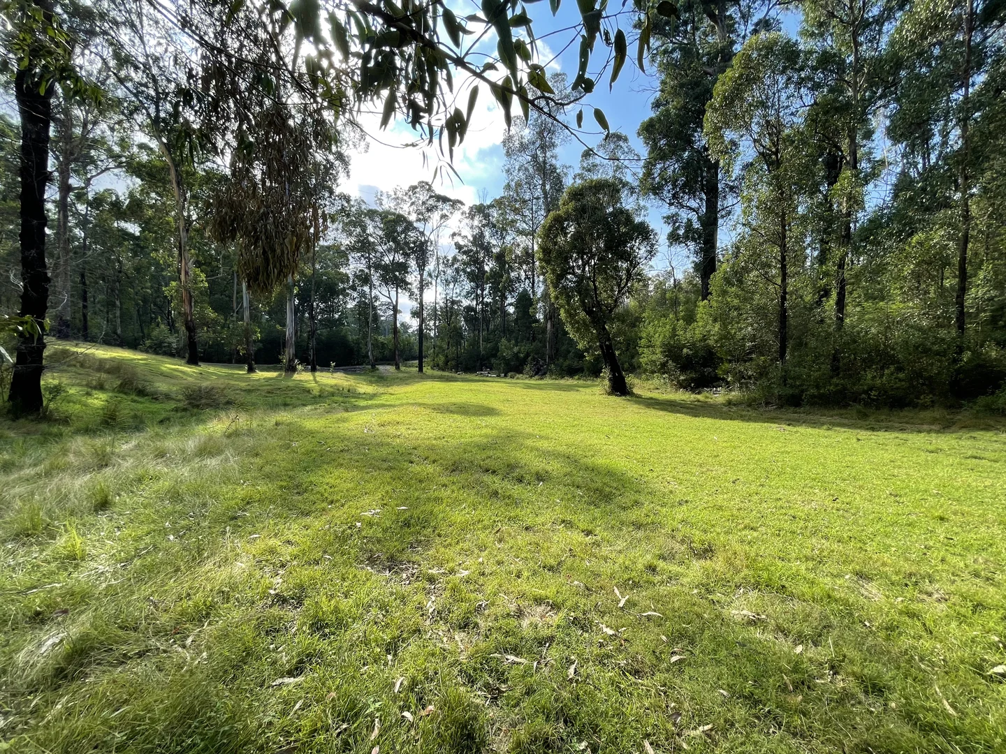 Additional image 11 of 38 Yarran Rd, Boydtown NSW 2551