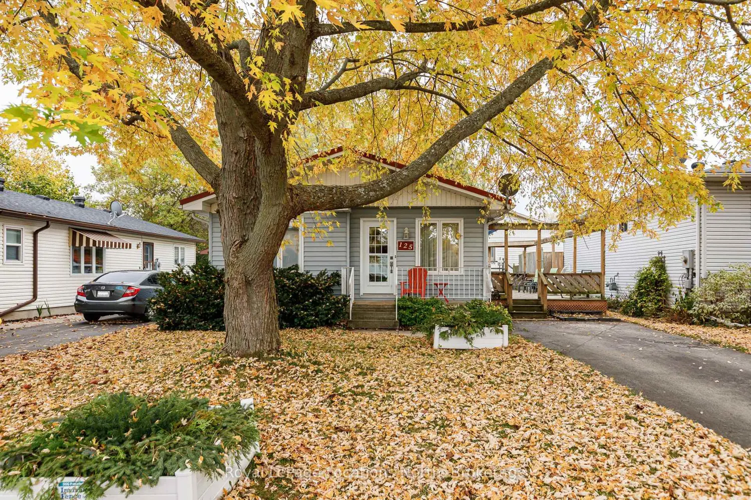 Additional image 2 of 125 Albert Street 10