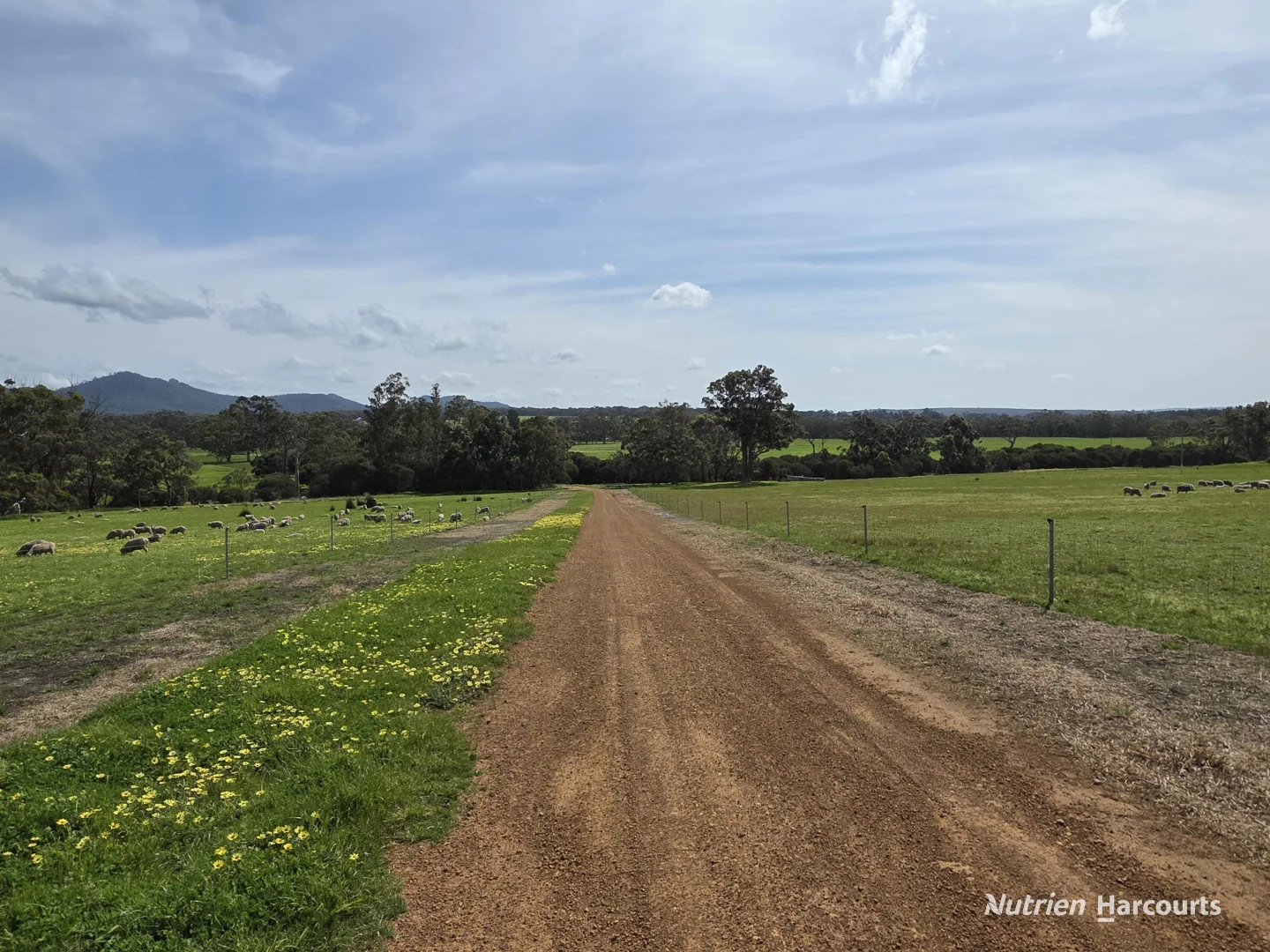 Additional image 39 of 4038 & 4184 Chesterpass Road, Takalarup WA 6324