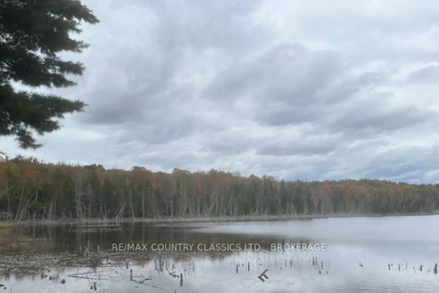 Lt 1, Pl 1839 Bull Lake Road