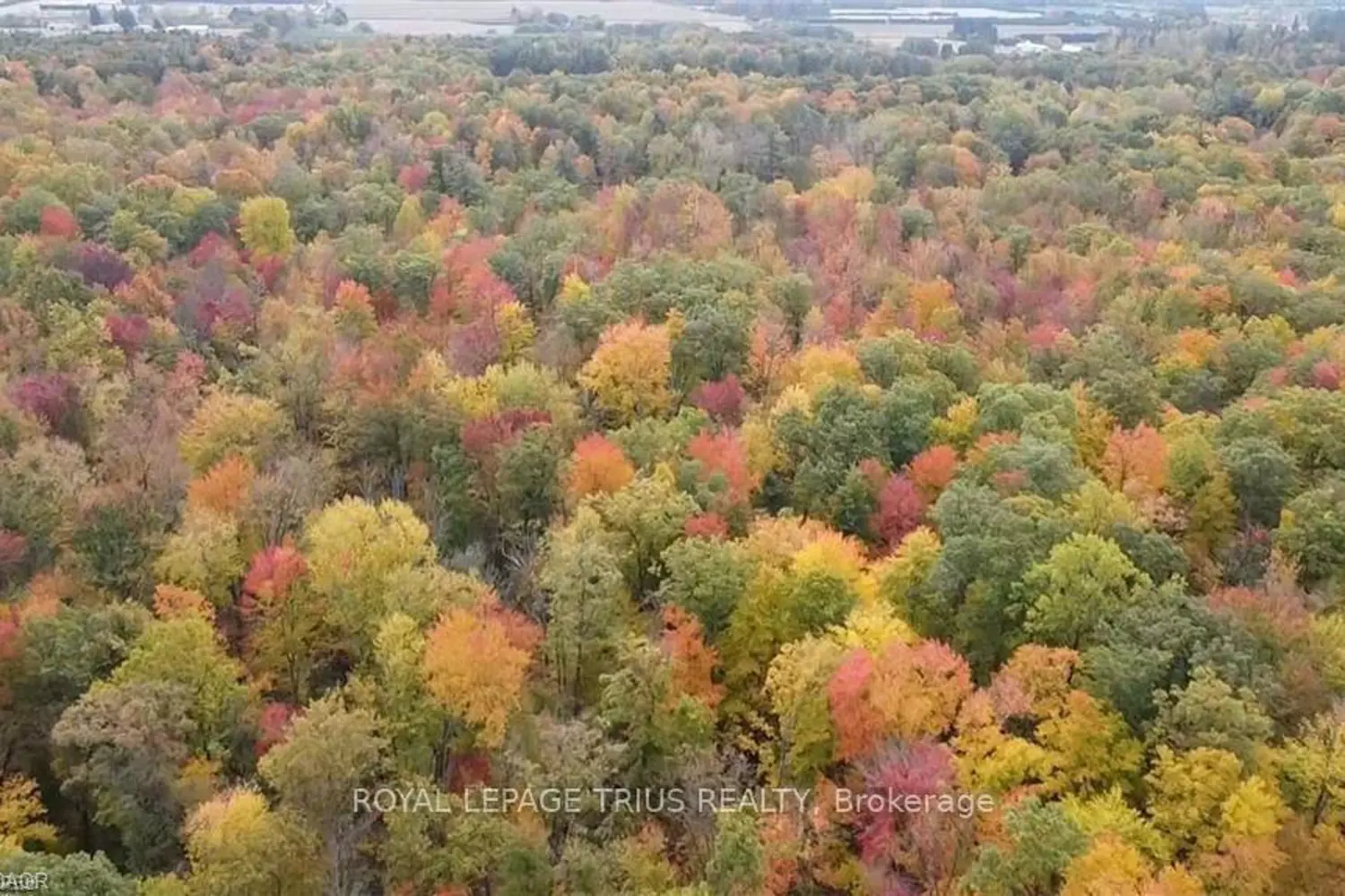 Additional image 5 of Pt Lt 20 7Th Concession Road