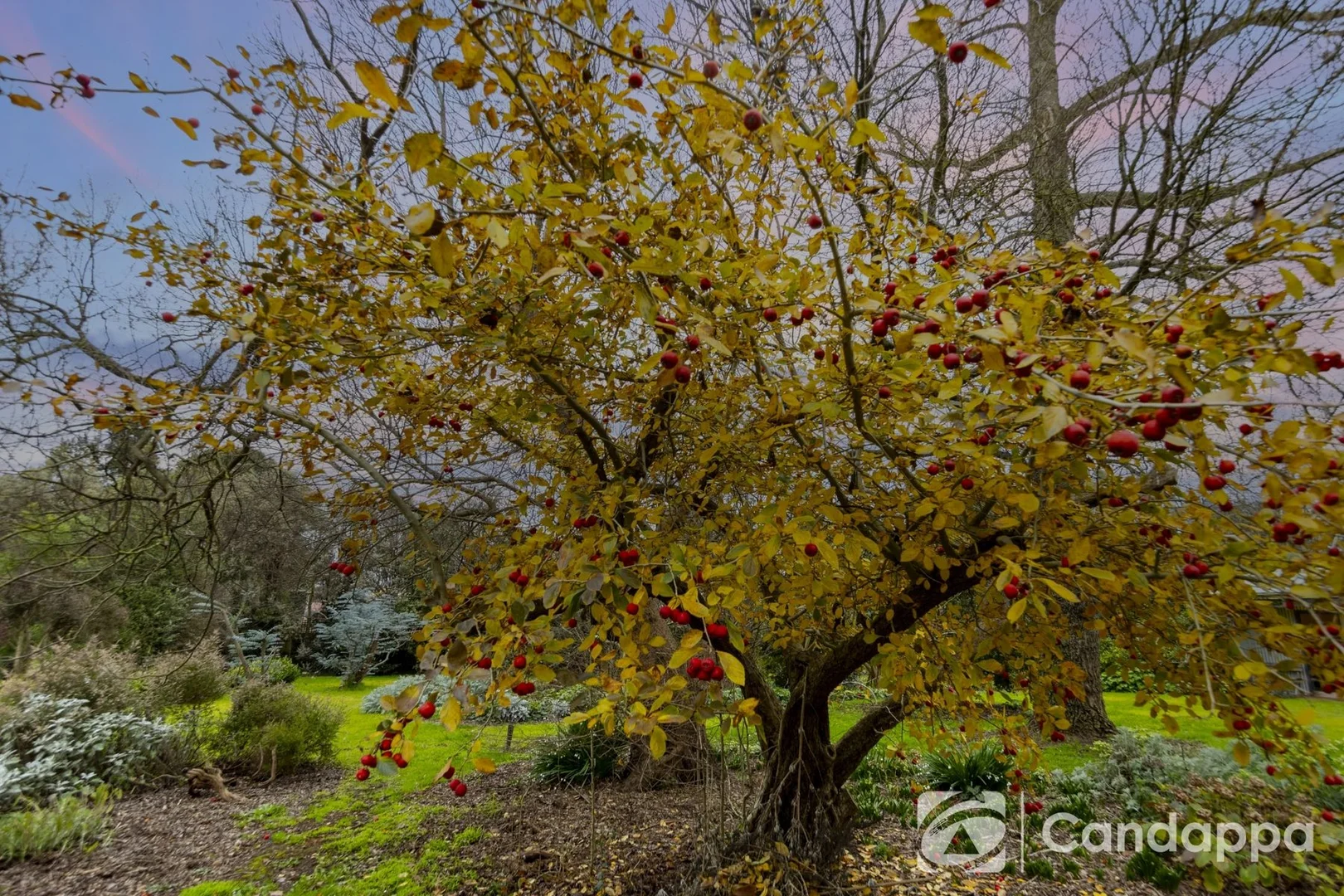 Additional image 14 of 18 Main Neerim Road, Drouin VIC 3818