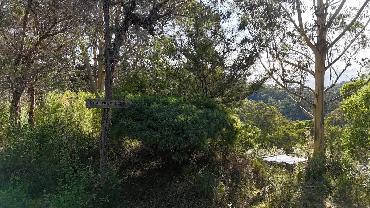 Additional image 11 of 318 Old Ocean Road, Glenaire VIC 3238