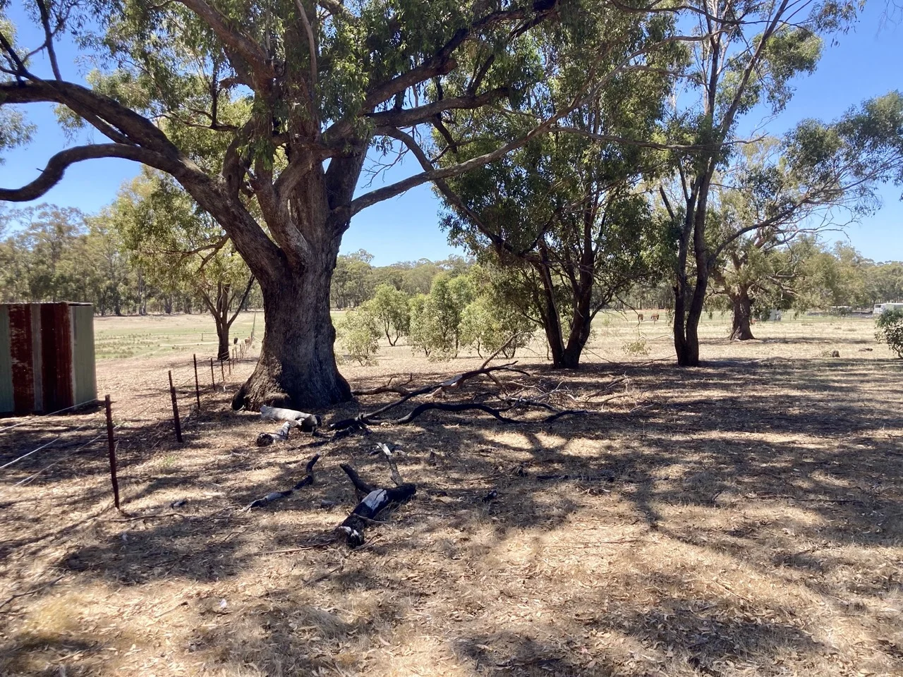 Additional image 20 of 355 Lillicur Road, Amherst VIC 3371