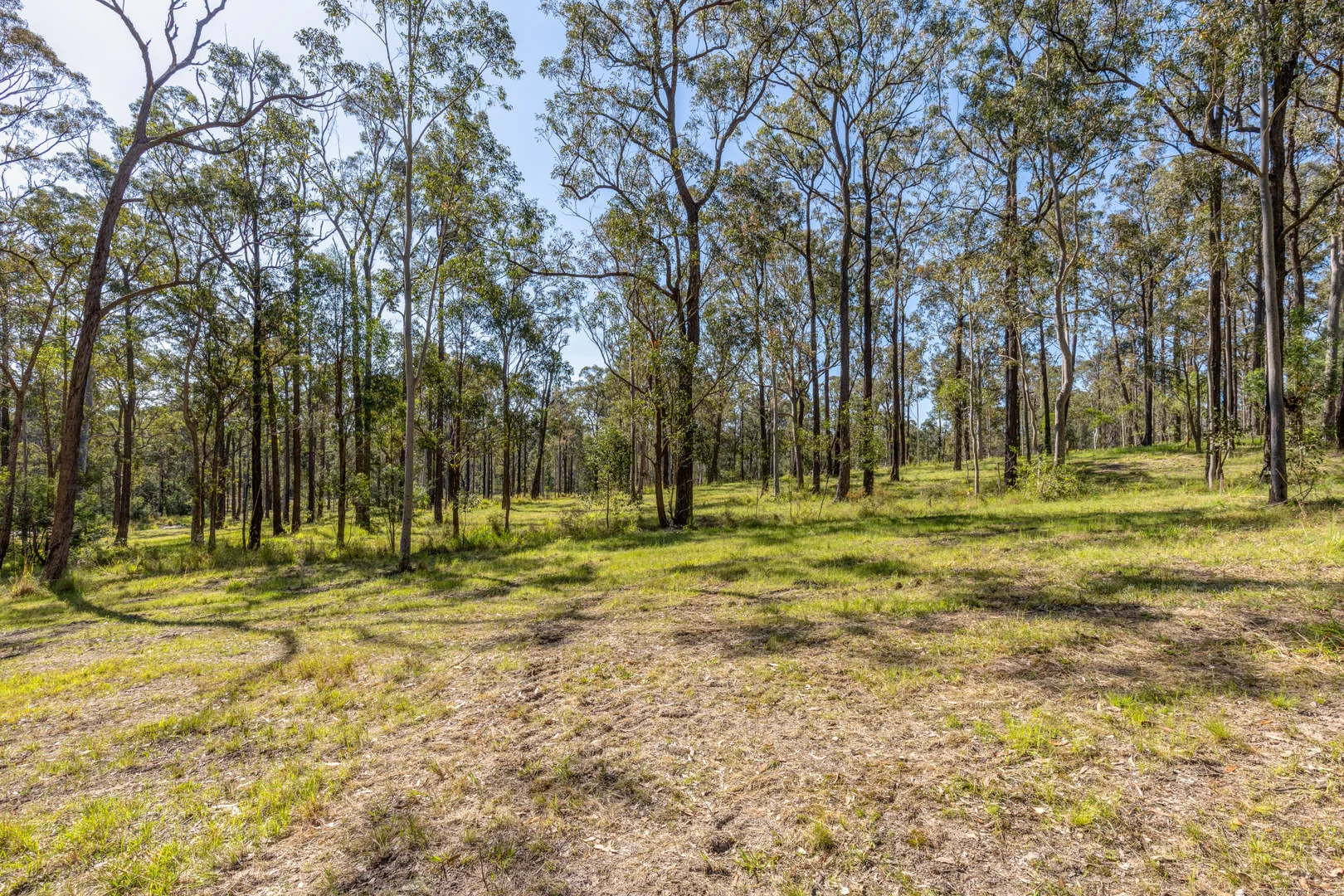 Additional image 8 of 35 Grandview Close, Clarence Town NSW 2321