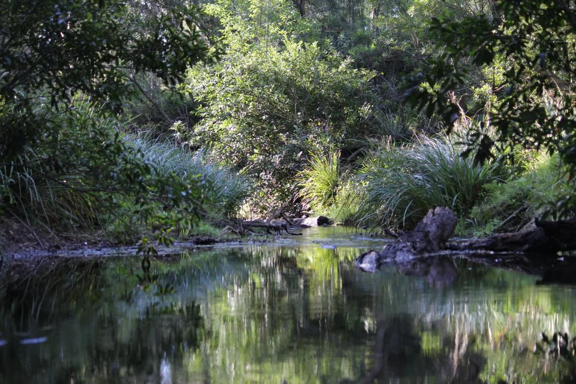 Additional image 3 of 1348C Old Princes Highway, Brooman NSW 2538