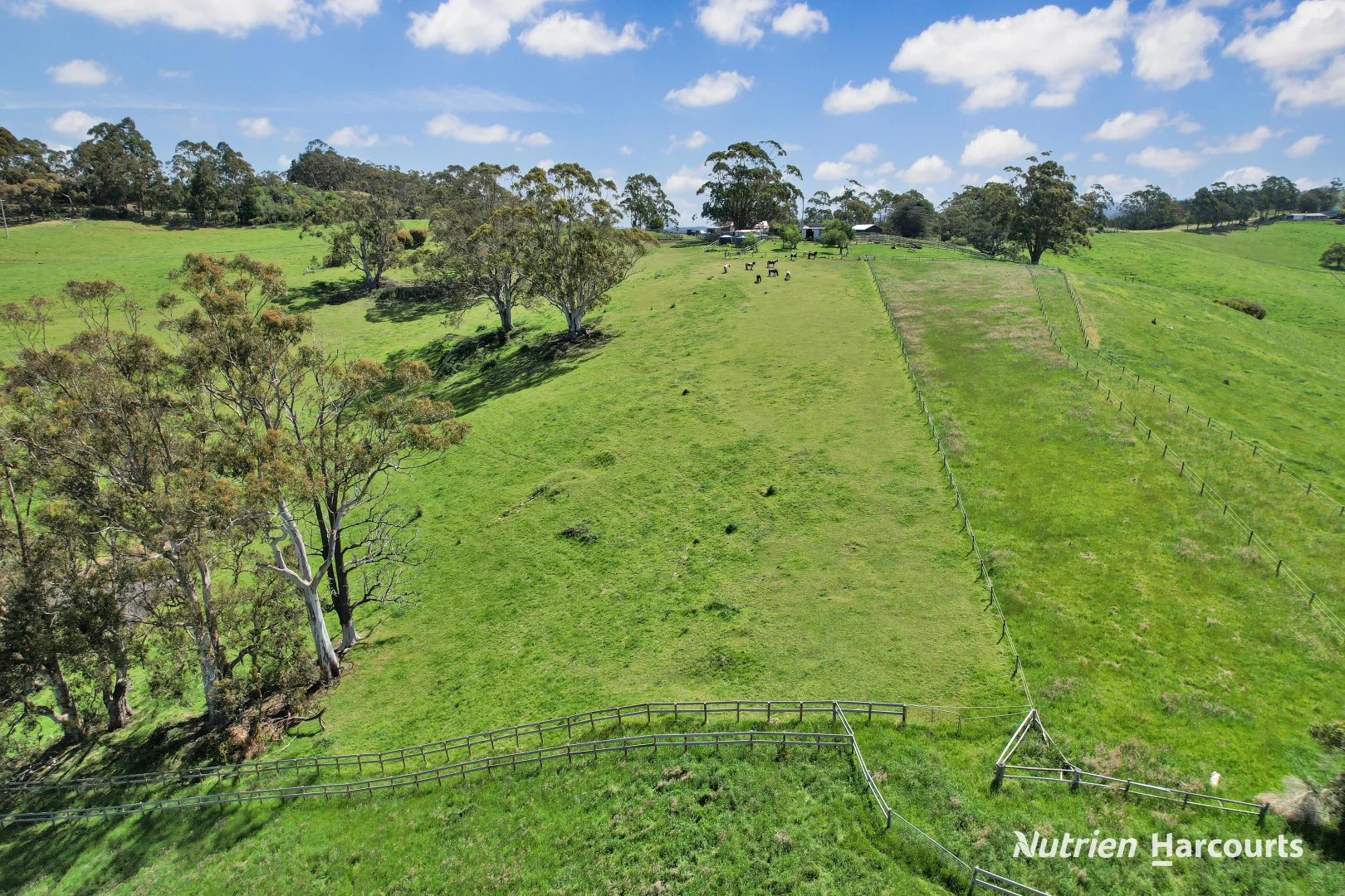 Additional image 17 of 482 Old Whitelaws Track, Devon North VIC 3971
