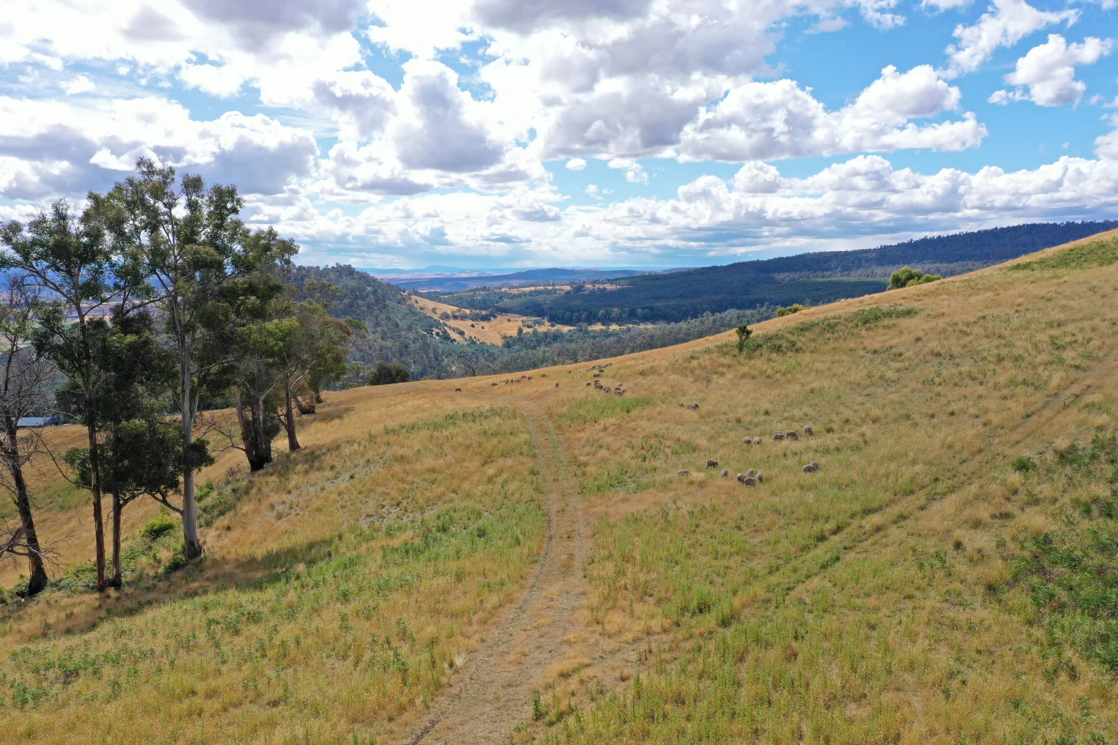 Additional image 15 of 17 Garth Lane, Black Hills TAS 7140