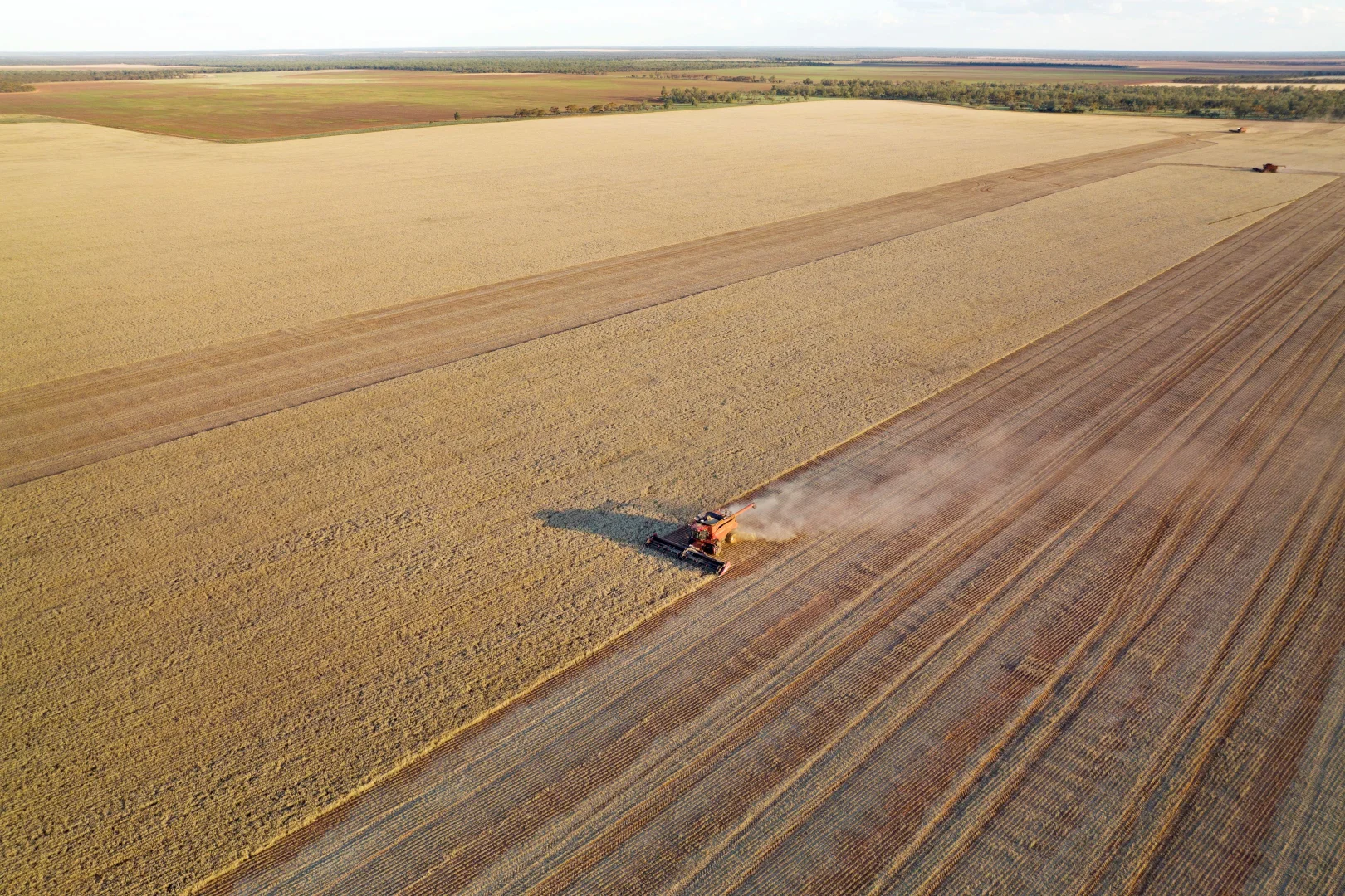 Additional image 28 of 2423 Petro Mail Road, Arumpo NSW 2715
