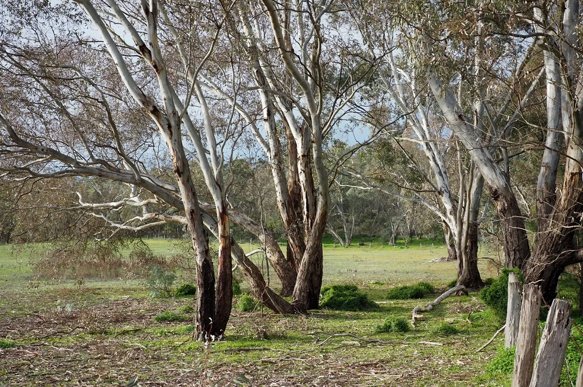 Additional image 4 of Lot 14/60 Caldwell Street, Heathcote VIC 3523