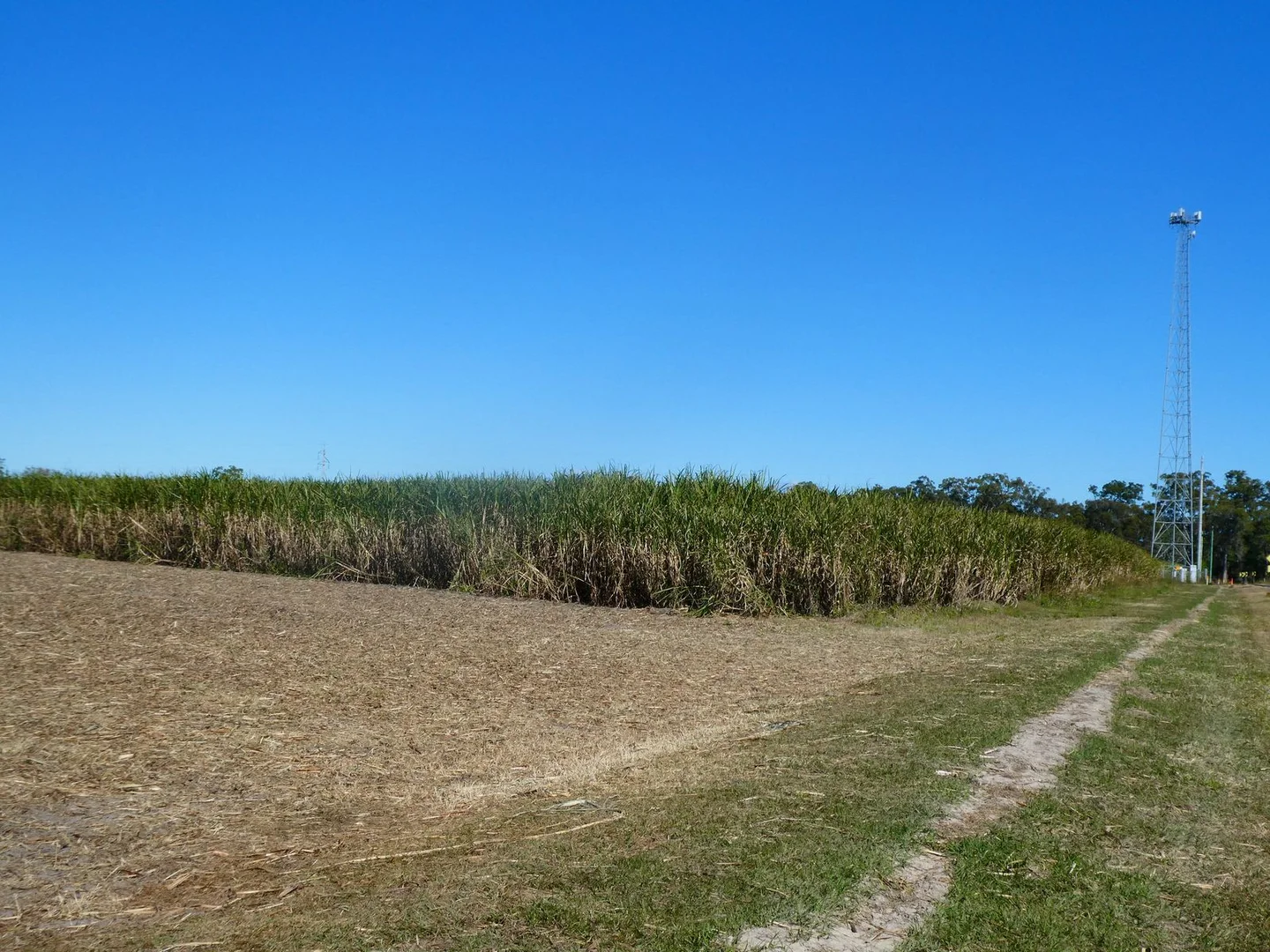 Additional image 29 of 84 Foleys Road, North Gregory QLD 4660