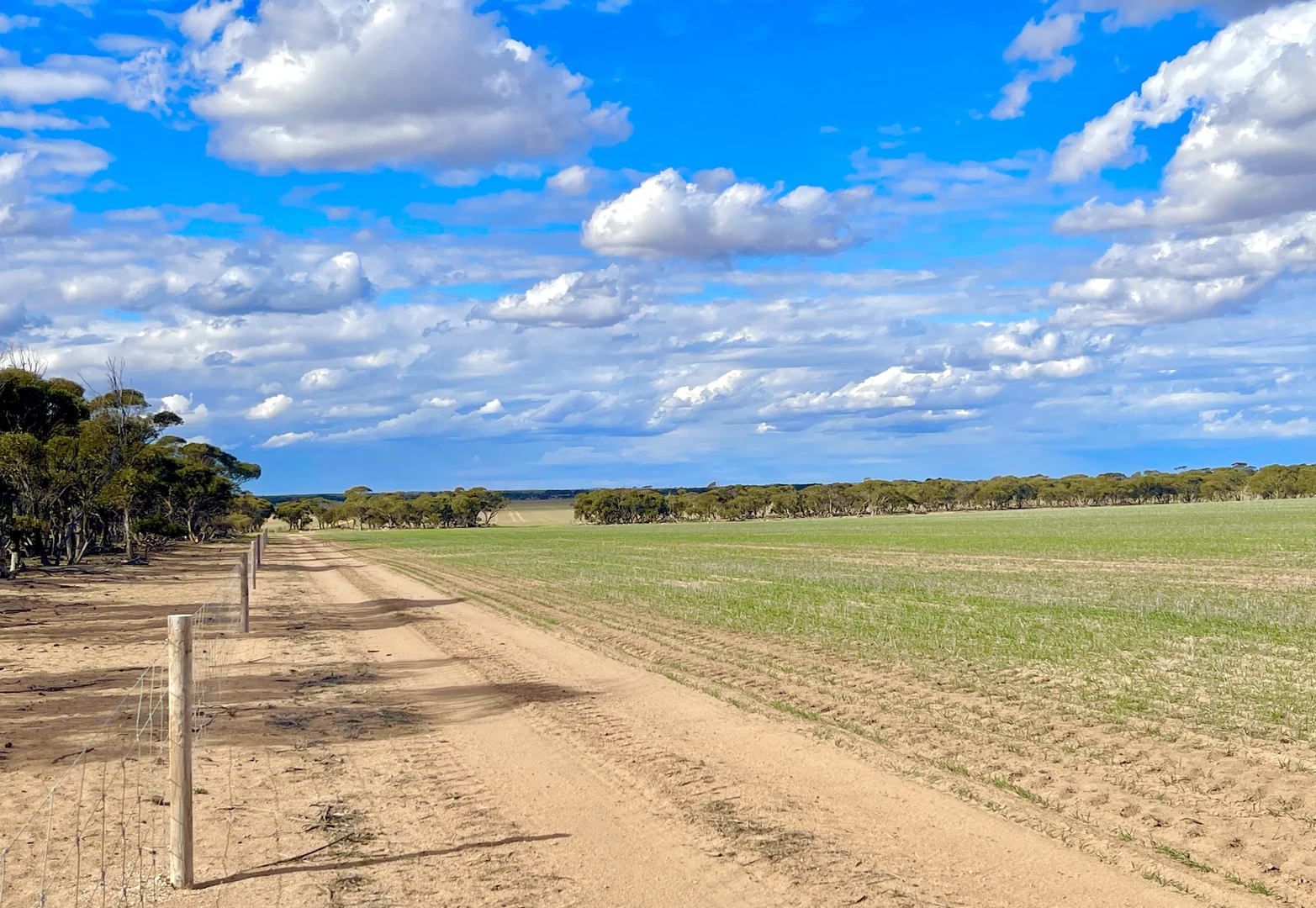 Additional image 11 of 1830 Finlayson Road, Petina SA 5680