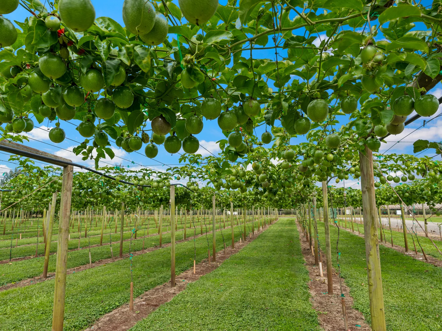 Additional image 6 of Atherton QLD 4883