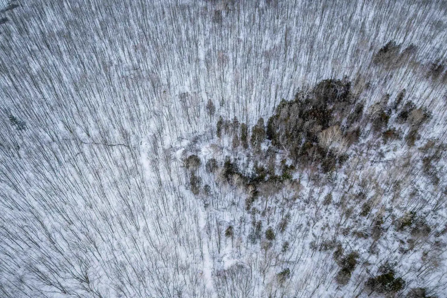 Additional image 10 of Lot Concession 10 Road