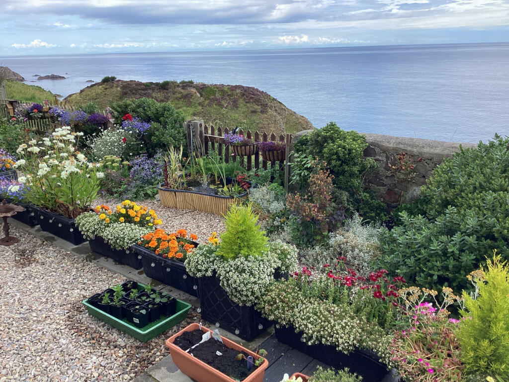 Additional image 2 of Cliff Terrace, Portknockie, AB56