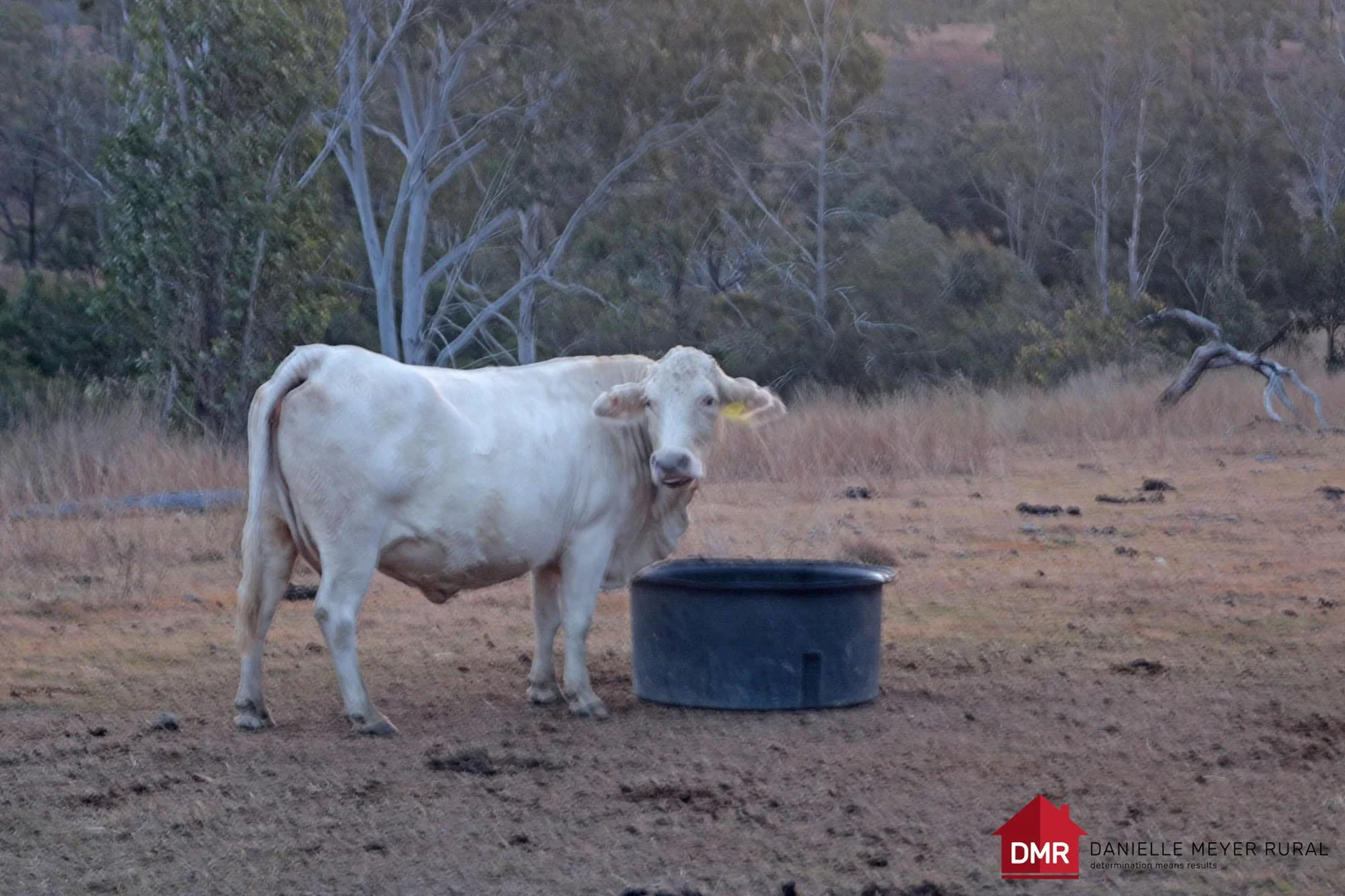 Additional image 39 of Lot 33-35 Bilboolan Road, Eidsvold QLD 4627