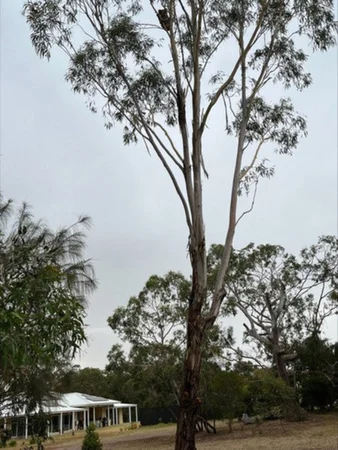 Additional image 25 of 26 Argyle Park Court, Inverleigh VIC 3321