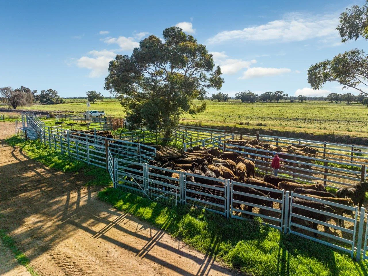 495 Burraboi Road, Barham NSW 2732