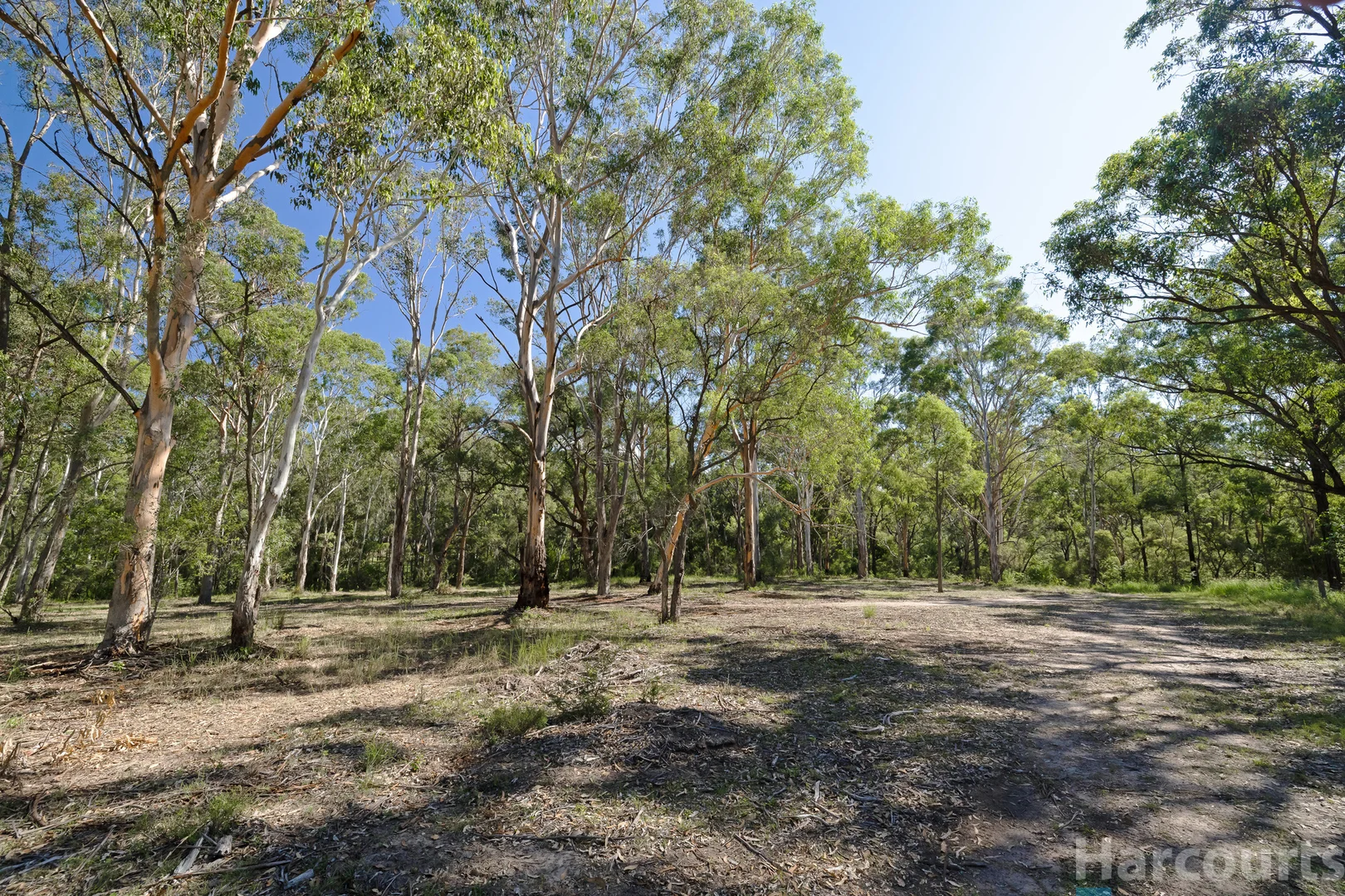 Additional image 7 of 75 Church Street, Abermain NSW 2326