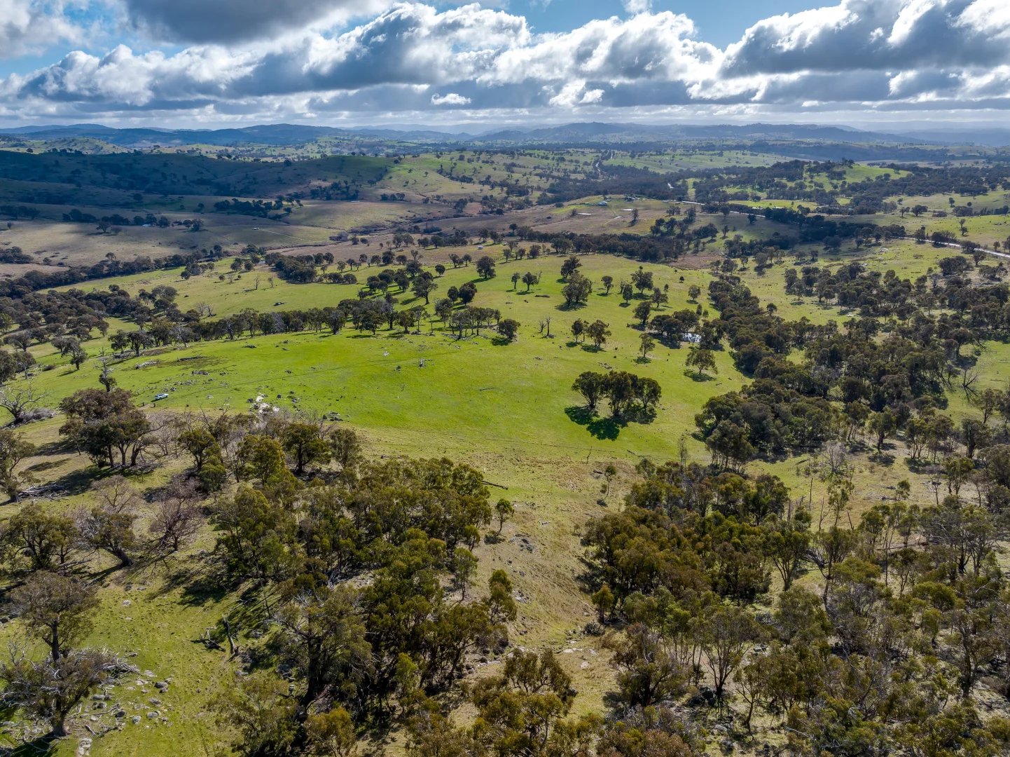 Additional image 13 of 2306 Bigga Road, Bigga NSW 2583