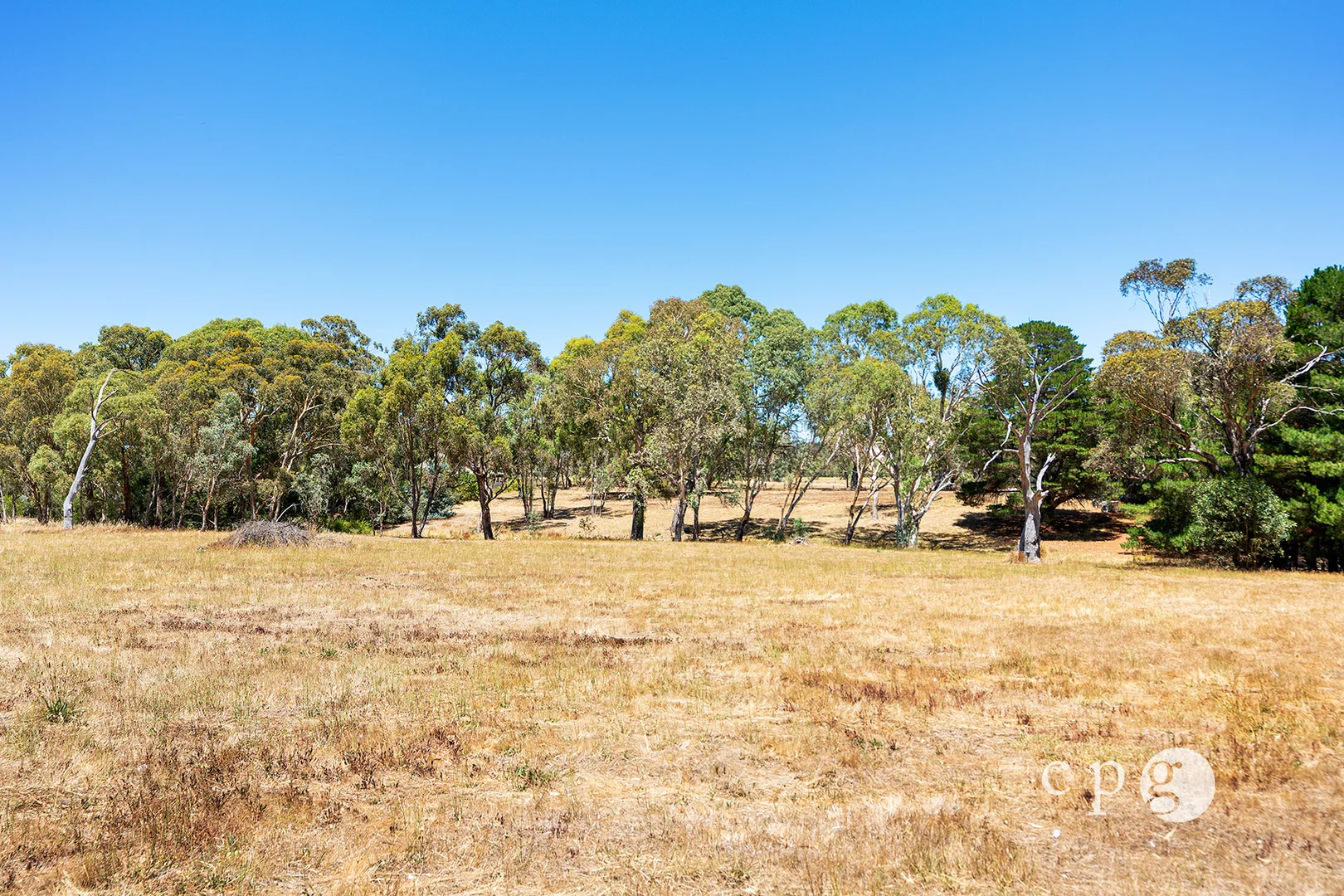 Additional image 5 of 80 Mills Road, Harcourt VIC 3453