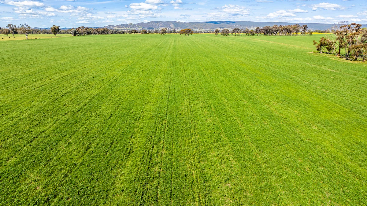 Additional image 5 of 1791 Olympic Highway, Culcairn NSW 2660