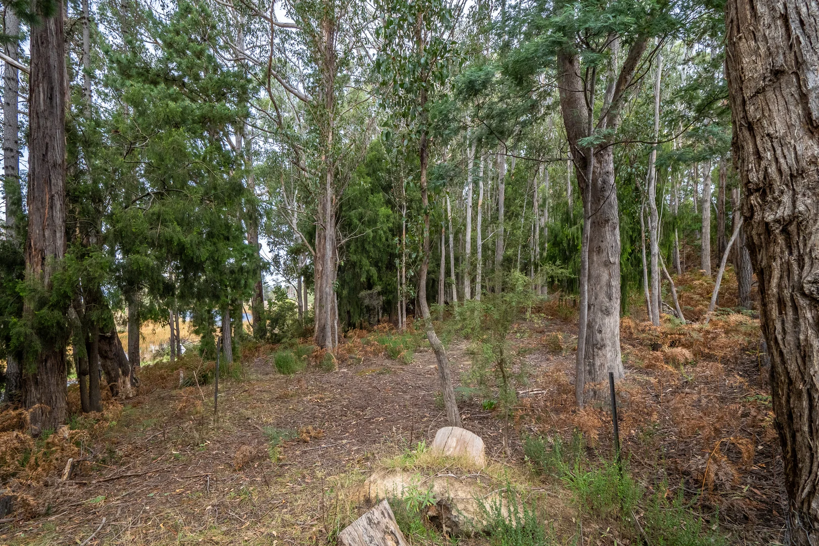 Additional image 11 of Channel Highway, Flowerpot TAS 7163