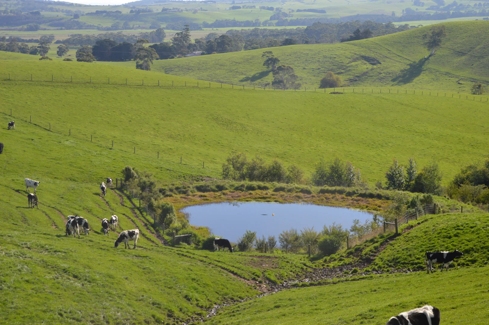 Additional image 8 of 55 Michie Road, Krowera VIC 3945