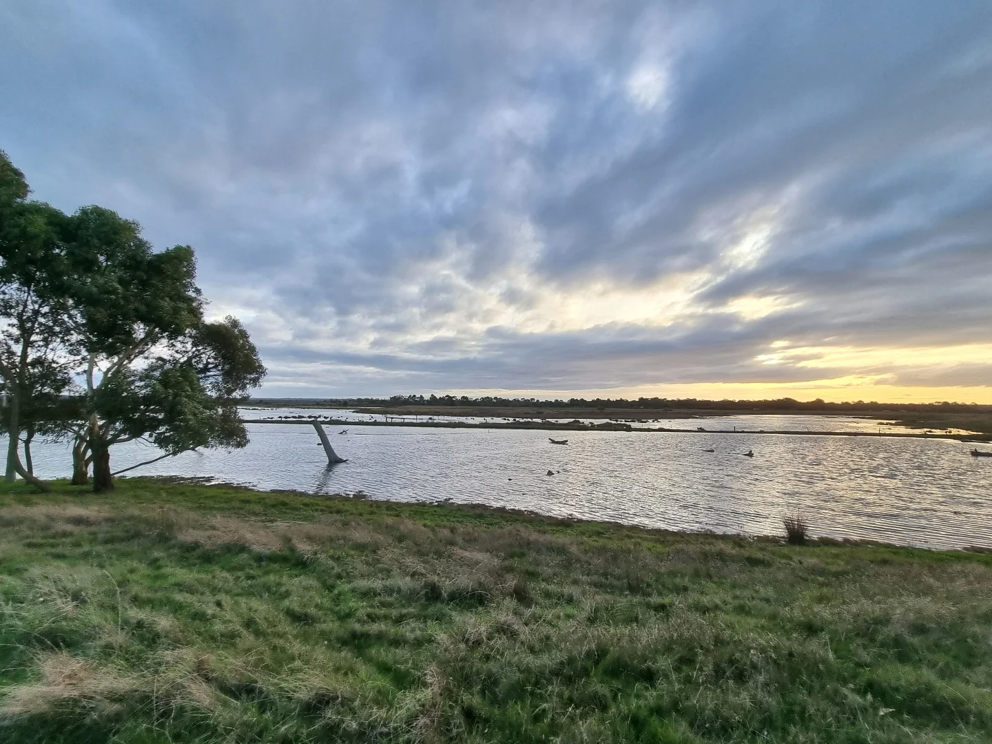 Additional image 22 of 111 CRAIGS LANE, Pearcedale VIC 3912