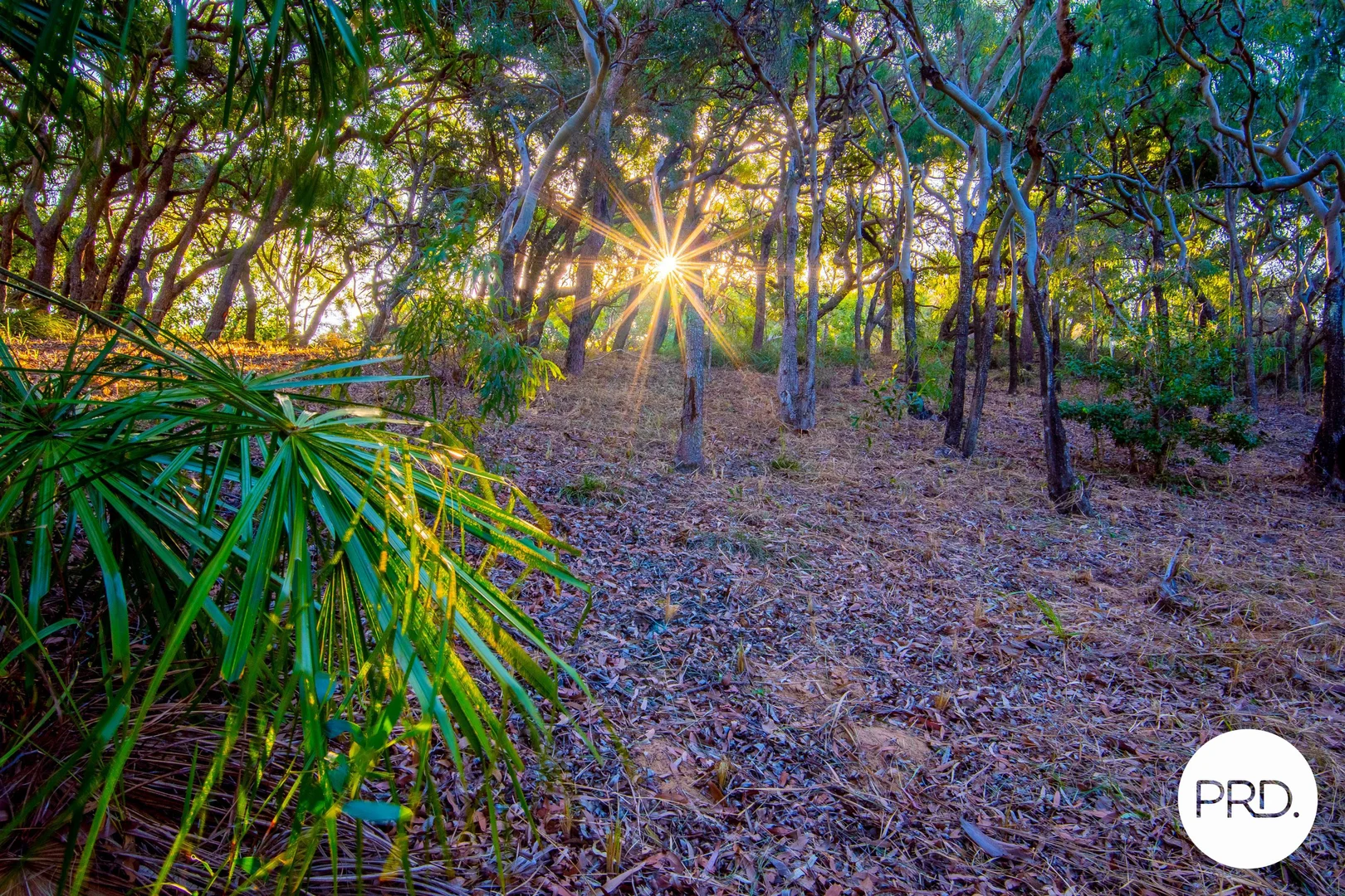 Additional image 22 of 127 Sunbird Avenue, Agnes Water QLD 4677