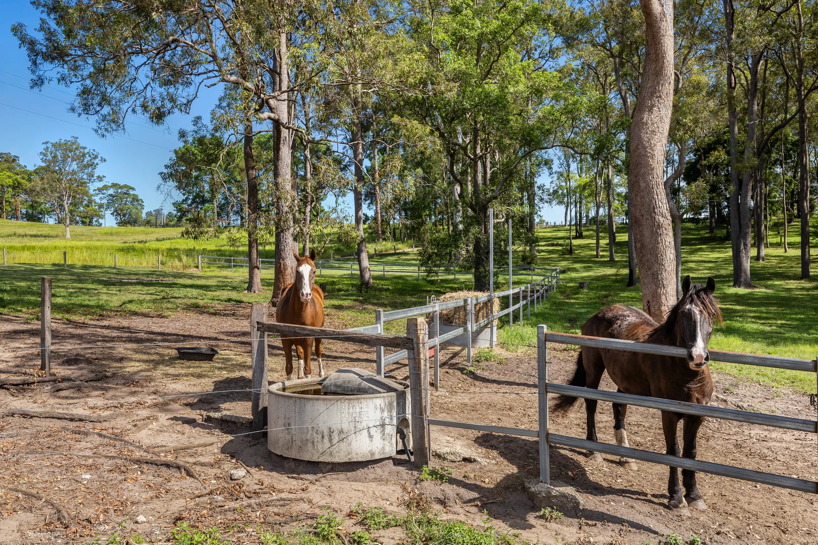 Additional image 20 of 127 Runnymede Road, Kyogle NSW 2474