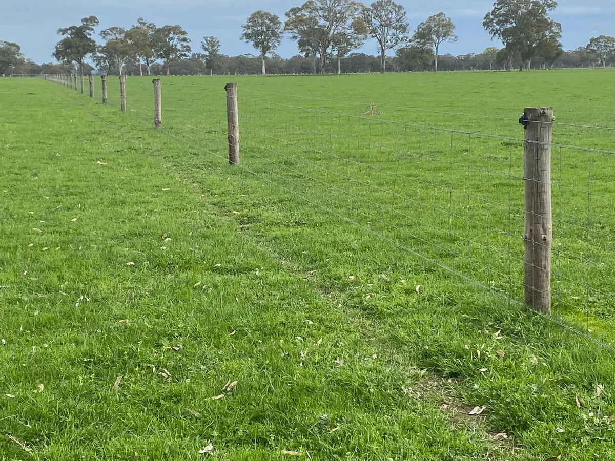 Additional image 16 of 813 Yarramyljup Road, Rocklands VIC 3401