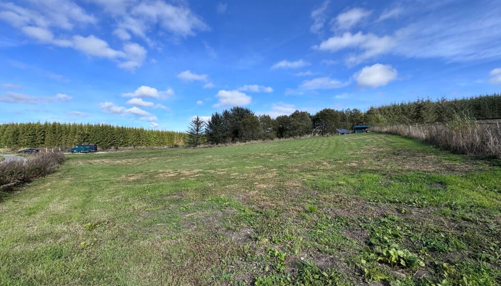 Additional image 12 of Bracobrae, Keith, AB55