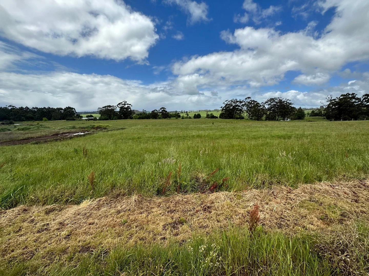 Additional image 5 of 9 River Drive, Leongatha VIC 3953