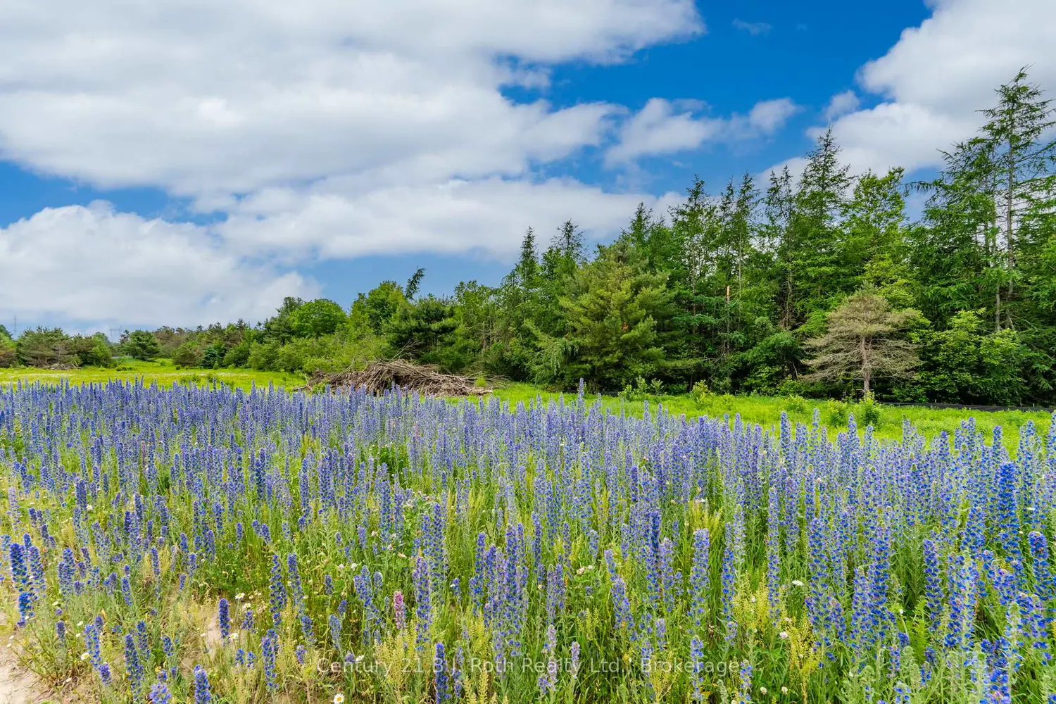 Additional image 6 of 14 Greenlaw Court