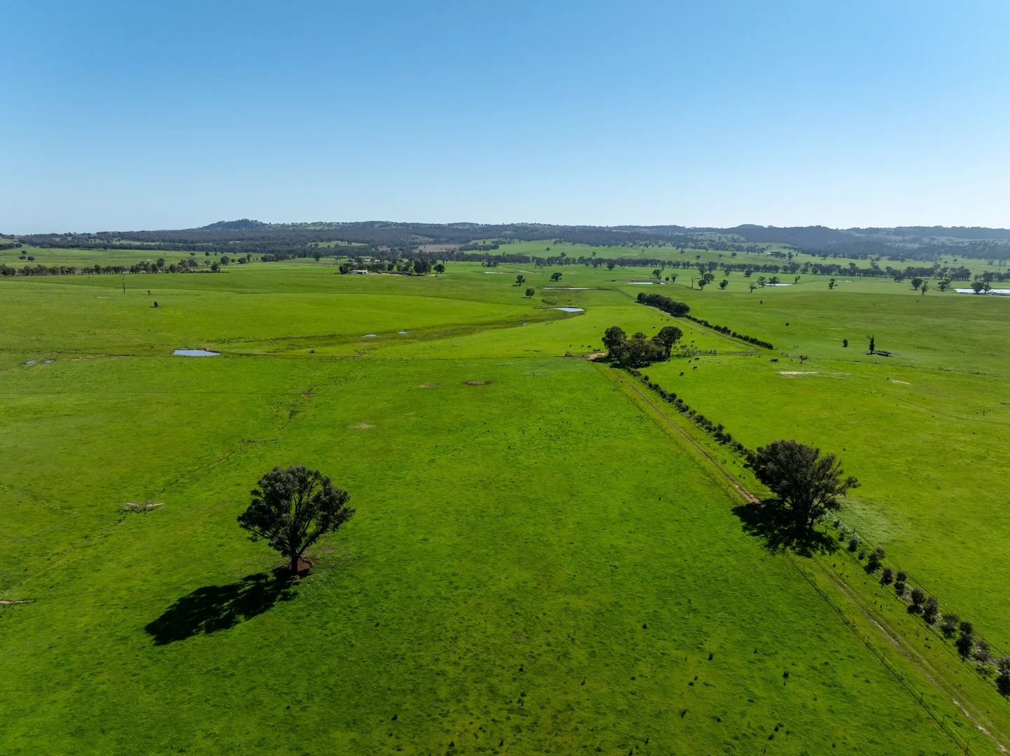 Additional image 27 of 25 Wrigleys Road, Big Springs NSW 2650
