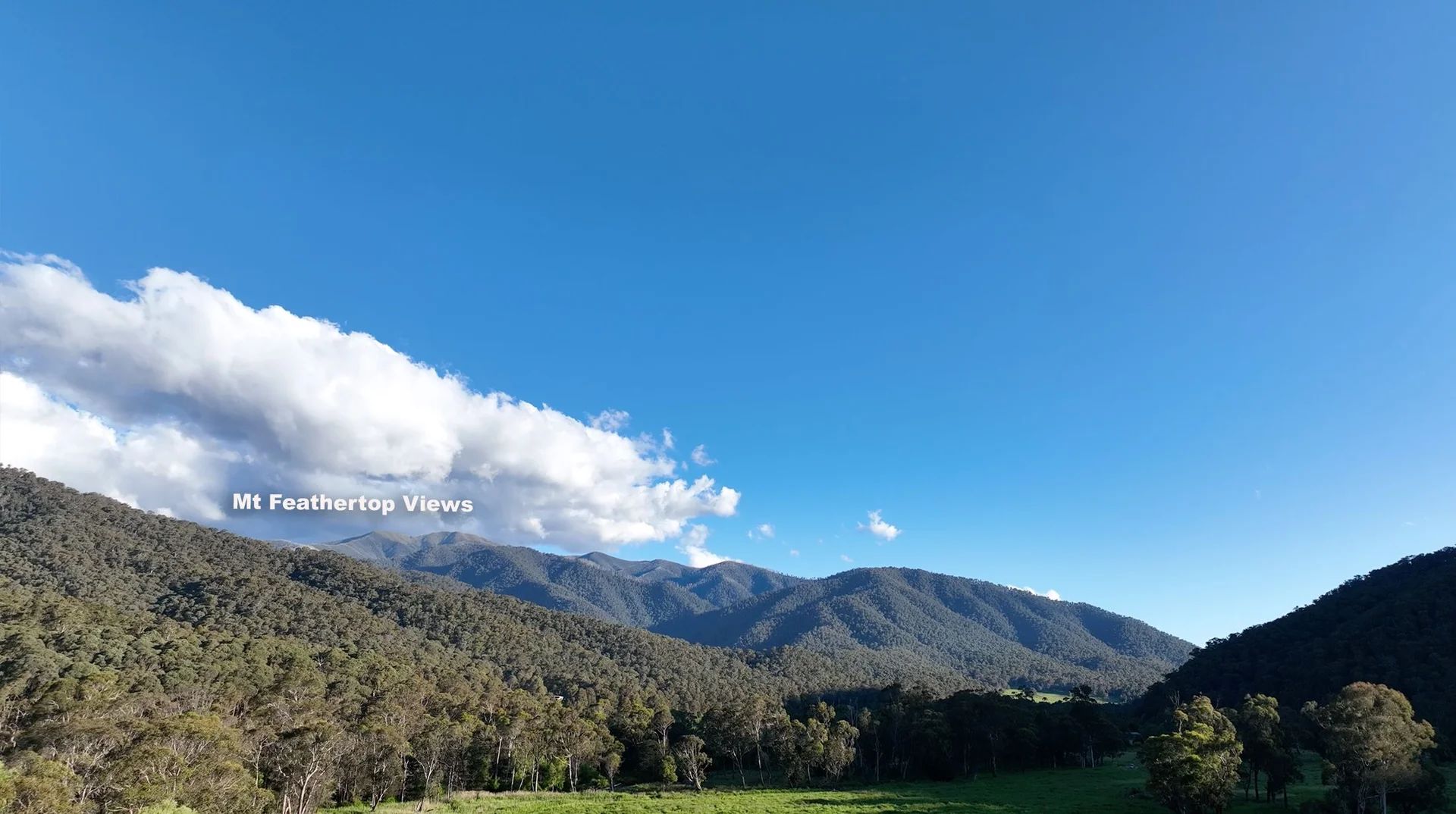 Additional image 8 of Smoko VIC 3741