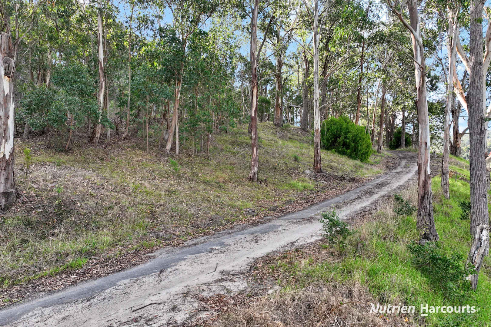 Additional image 24 of 4443 Hyland Highway, Won Wron VIC 3971