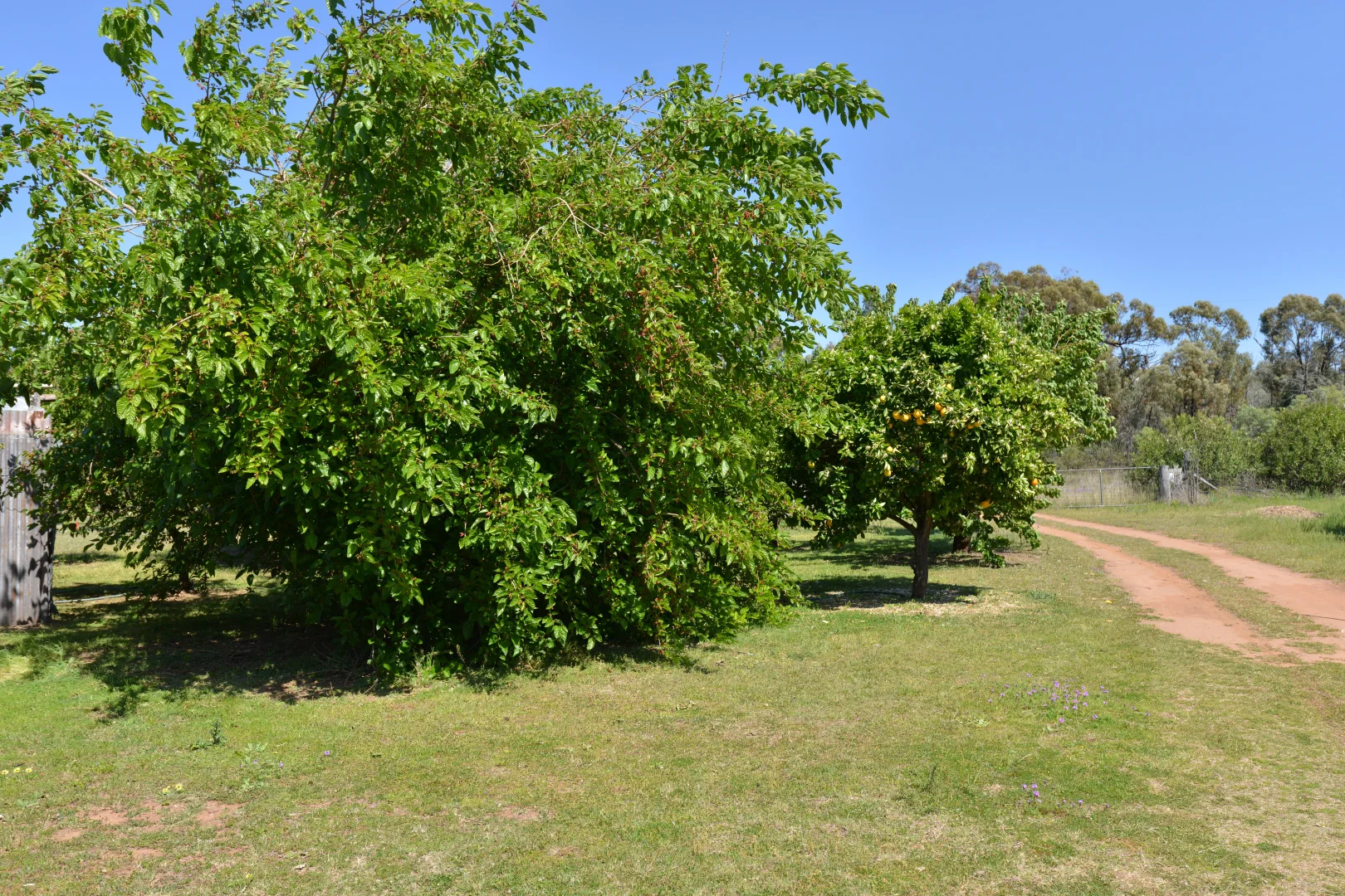 Additional image 20 of 20 Kurrajong Road, Coonabarabran NSW 2357