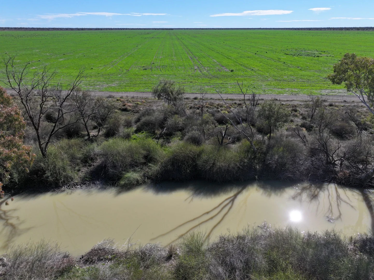 Additional image 6 of 1127 Green and Branders Road, Carinda NSW 2831