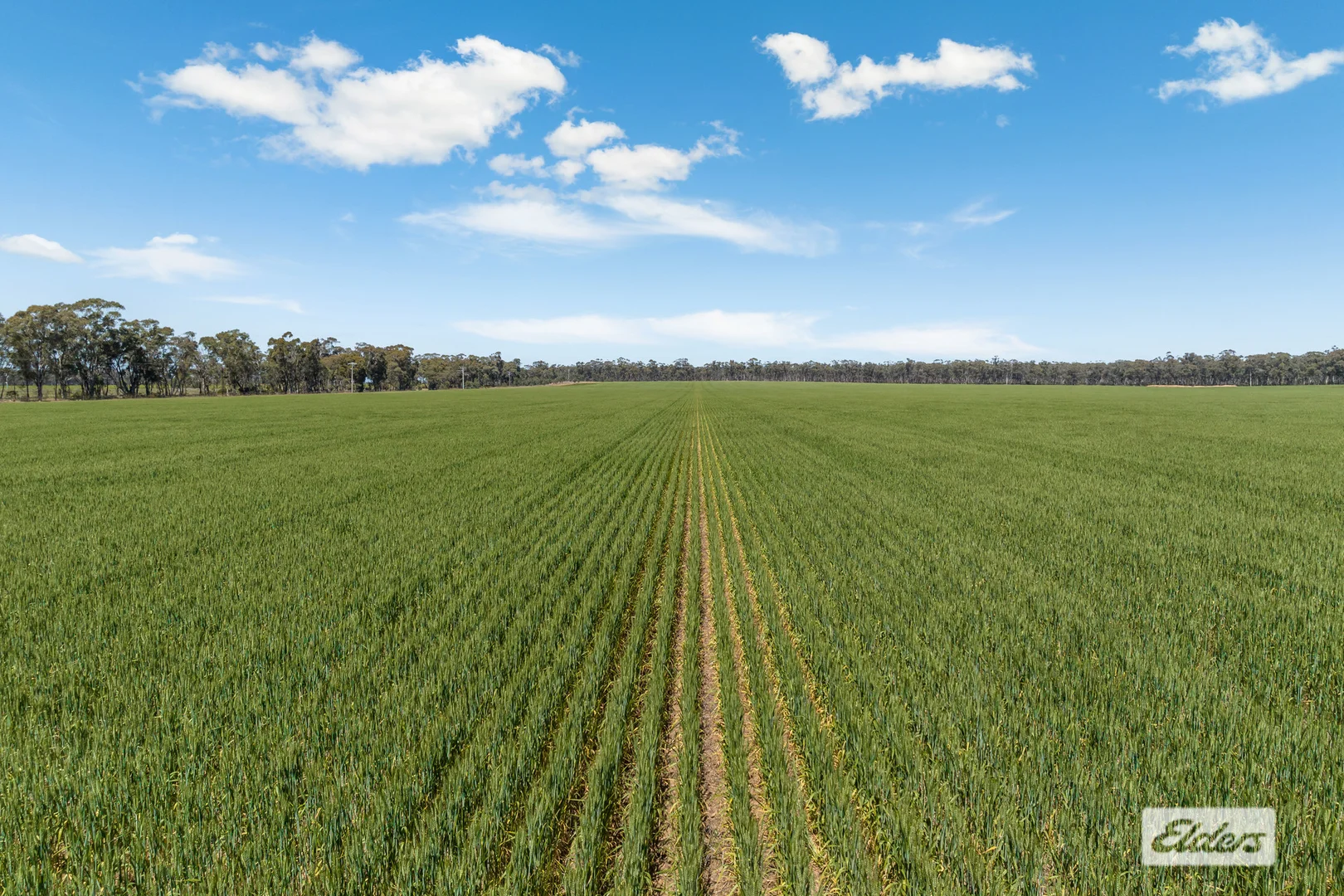 Additional image 7 of Laanecoorie-Newbridge Road, Newbridge VIC 3551