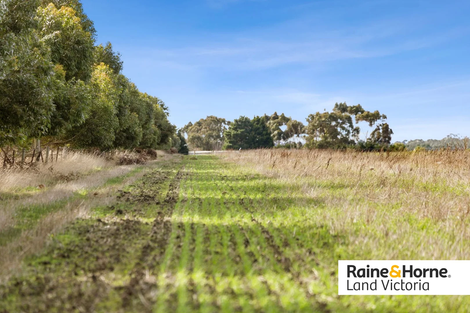Additional image 5 of Lot 1 Midland Highway, Bannockburn VIC 3331
