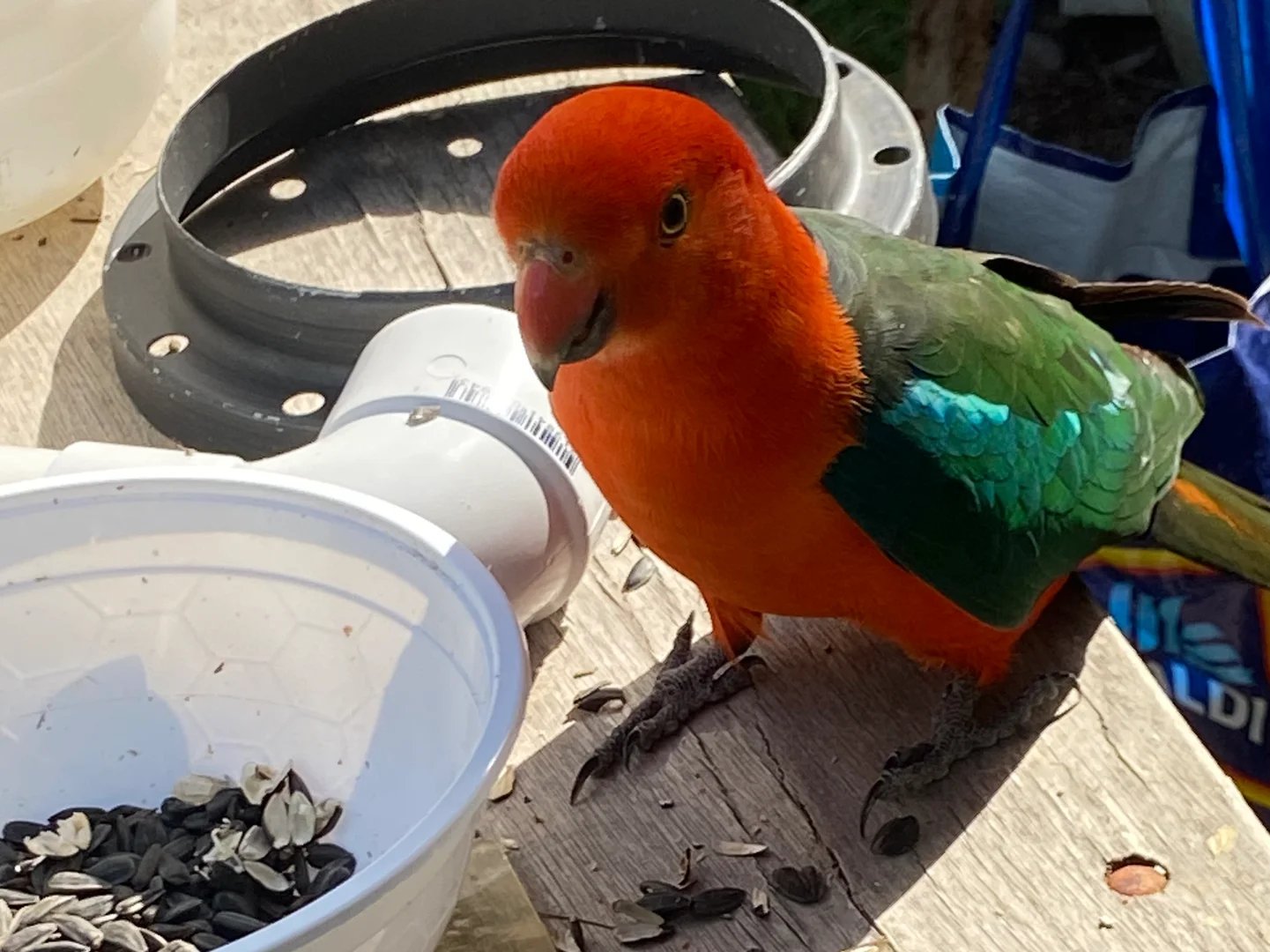 Additional image 26 of 33 Forest View Drive, Brooklands QLD 4615