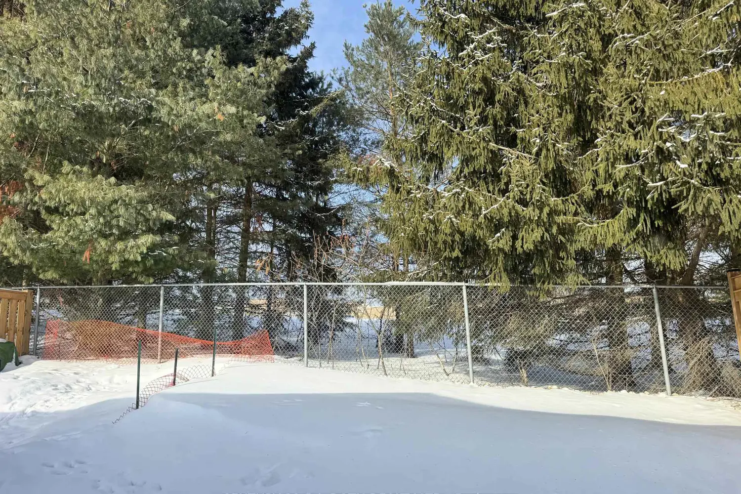 Additional image 2 of 8 Revol Road