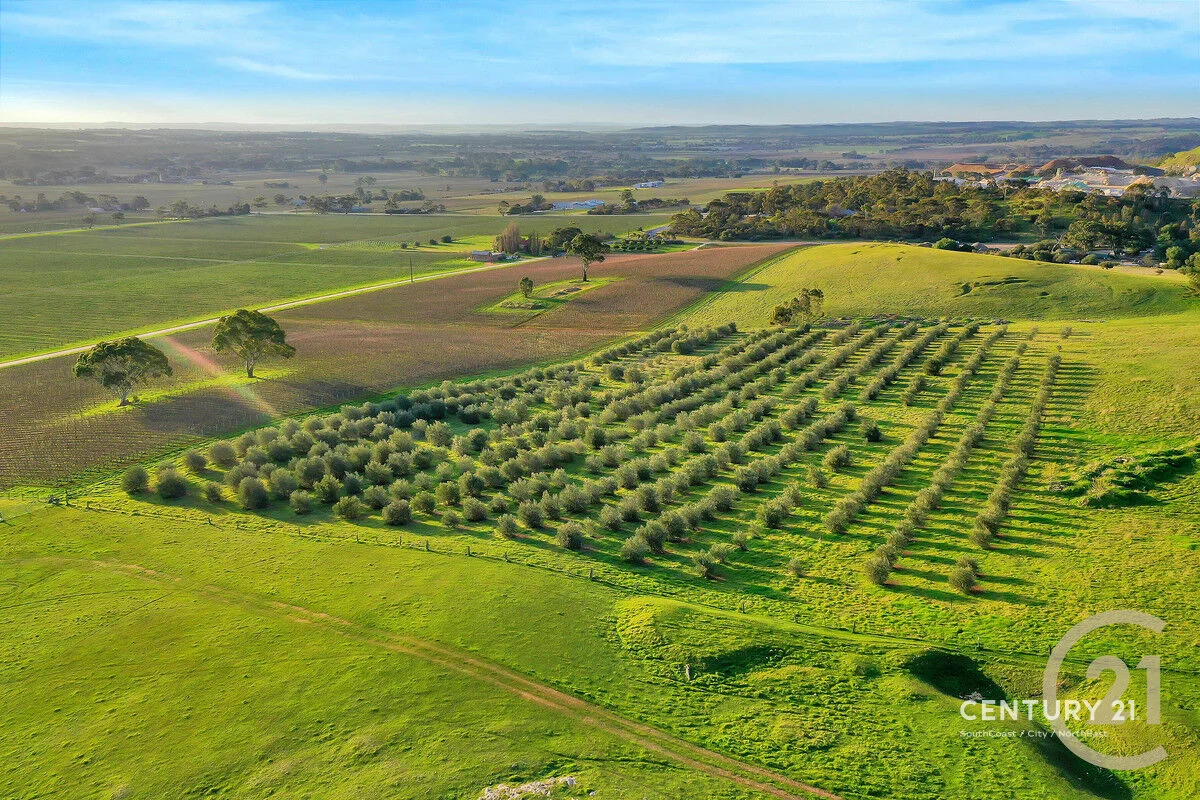 Additional image 13 of Lot 404 Richard Street, Penrice SA 5353